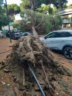Foto Ausiello Mazzi (dalla Pagina Le Mie Cervia E Milano Marittima) 6