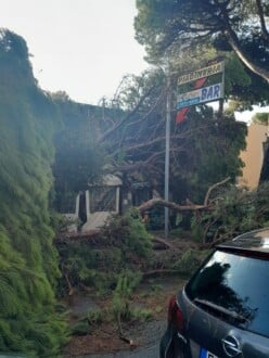 Foto Ausiello Mazzi (dalla Pagina Le Mie Cervia E Milano Marittima) 7
