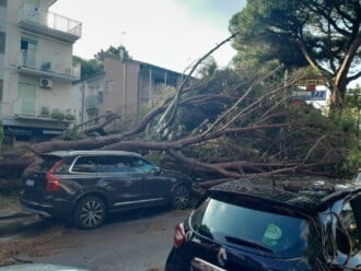 Foto Ausiello Mazzi (dalla Pagina Le Mie Cervia E Milano Marittima) 8