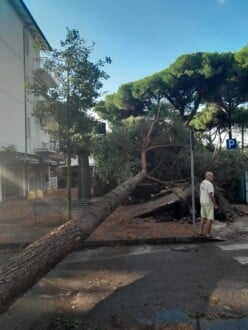 Foto Ausiello Mazzi (dalla Pagina Le Mie Cervia E Milano Marittima) 9