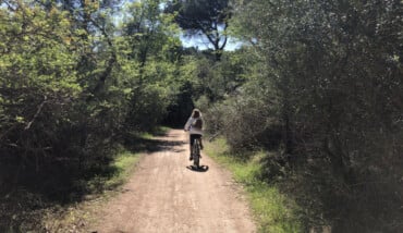 Foto1 Bicicletta Pineta Classe 