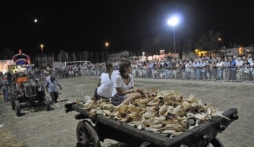 La Sfujareja A Cotignola (2)