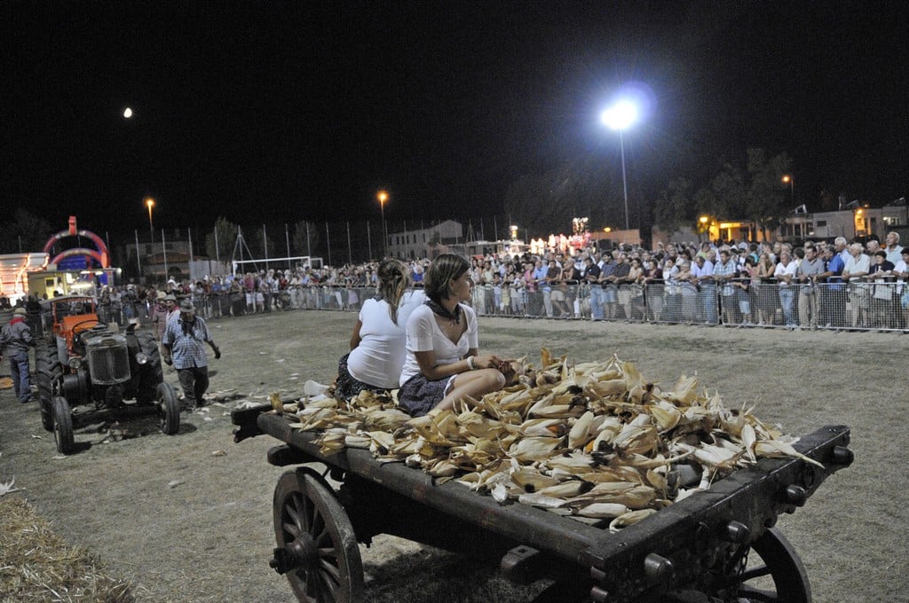 La Sfujareja A Cotignola (2)