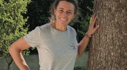 «Nessun albero può resistere a raffiche di vento a 120 km orari» 