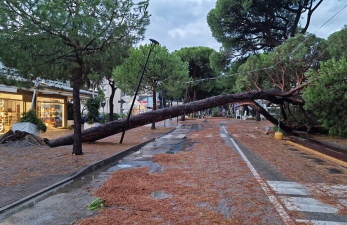 Danni Maltempo Romagna 2