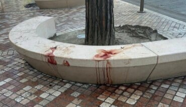Sangue Milano Marittima 