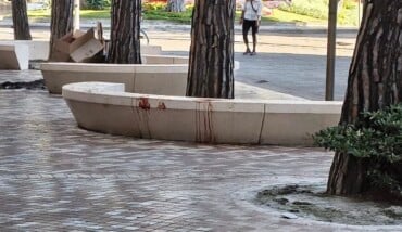 Panchina sangue Milano Marittima 