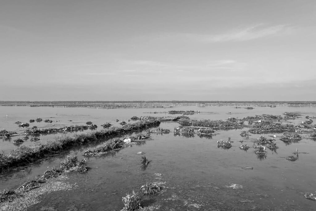 Cronache dal Deserto Rosso