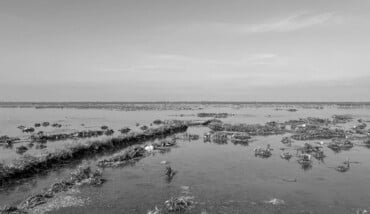 Cronache dal Deserto Rosso