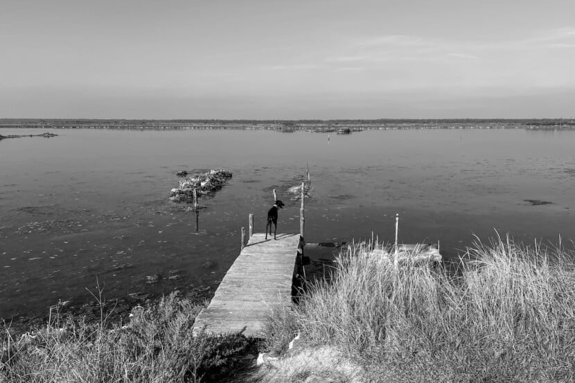 Io, Lola e il paesaggio