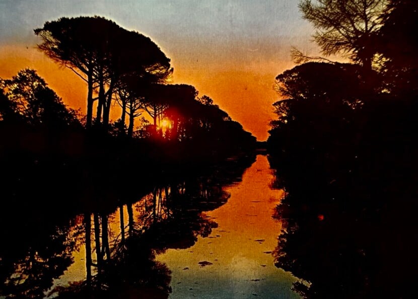 365) VINCOLI D'AMORE