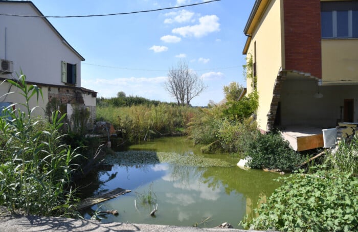 DSC 0498