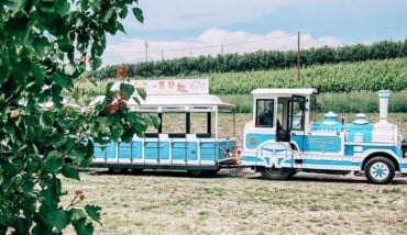 Trat Tour Trenino