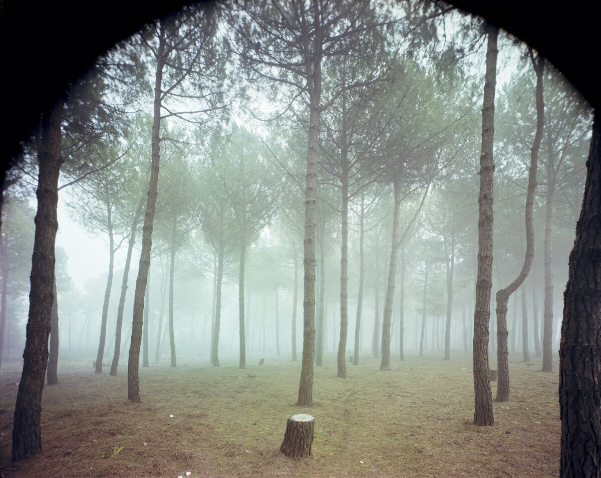 Guido Guidi