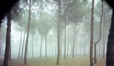 Guido Guidi 