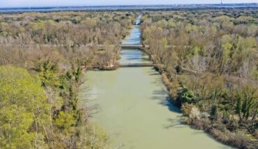 Ravenna Punte Alberete Turismo Comunicattivi DJI 0676 