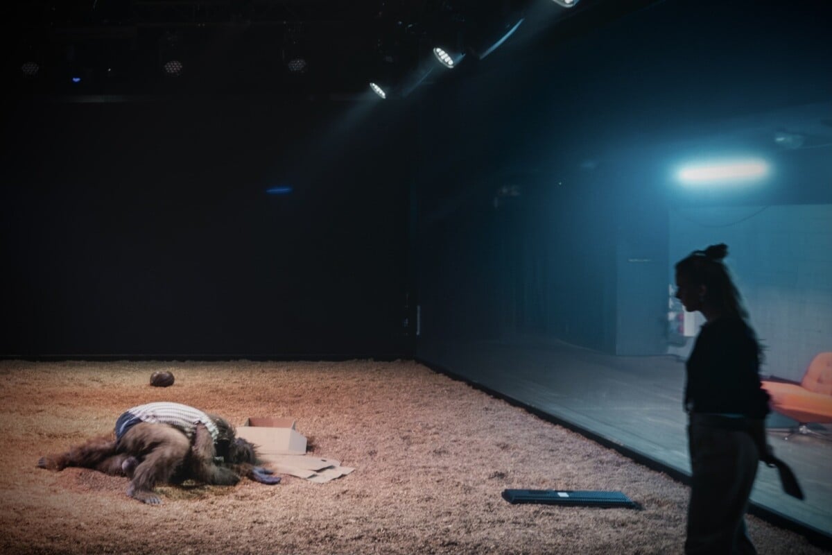 1 Autentik Fot.Piotr Nykowski