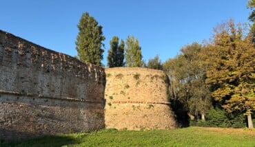 IMG 0983 