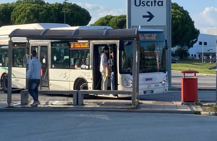 Bus Esp Autobus
