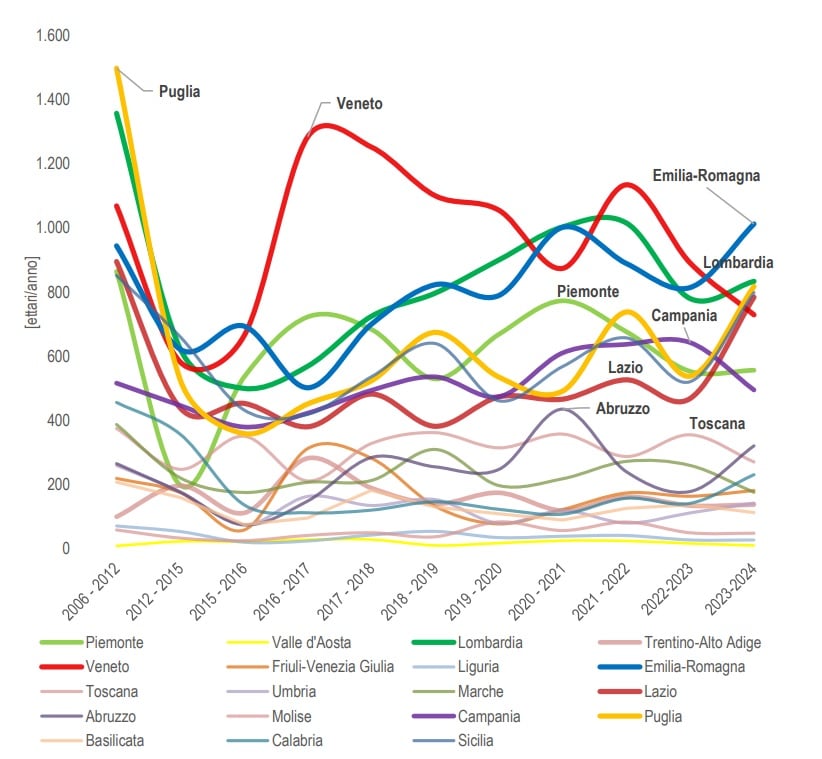 Consumo Di Suolo Grafico