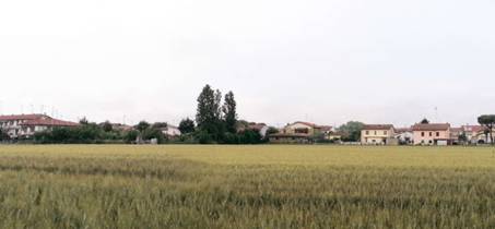 Porto Fuori Agricolo