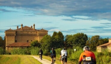 Starde Bianche