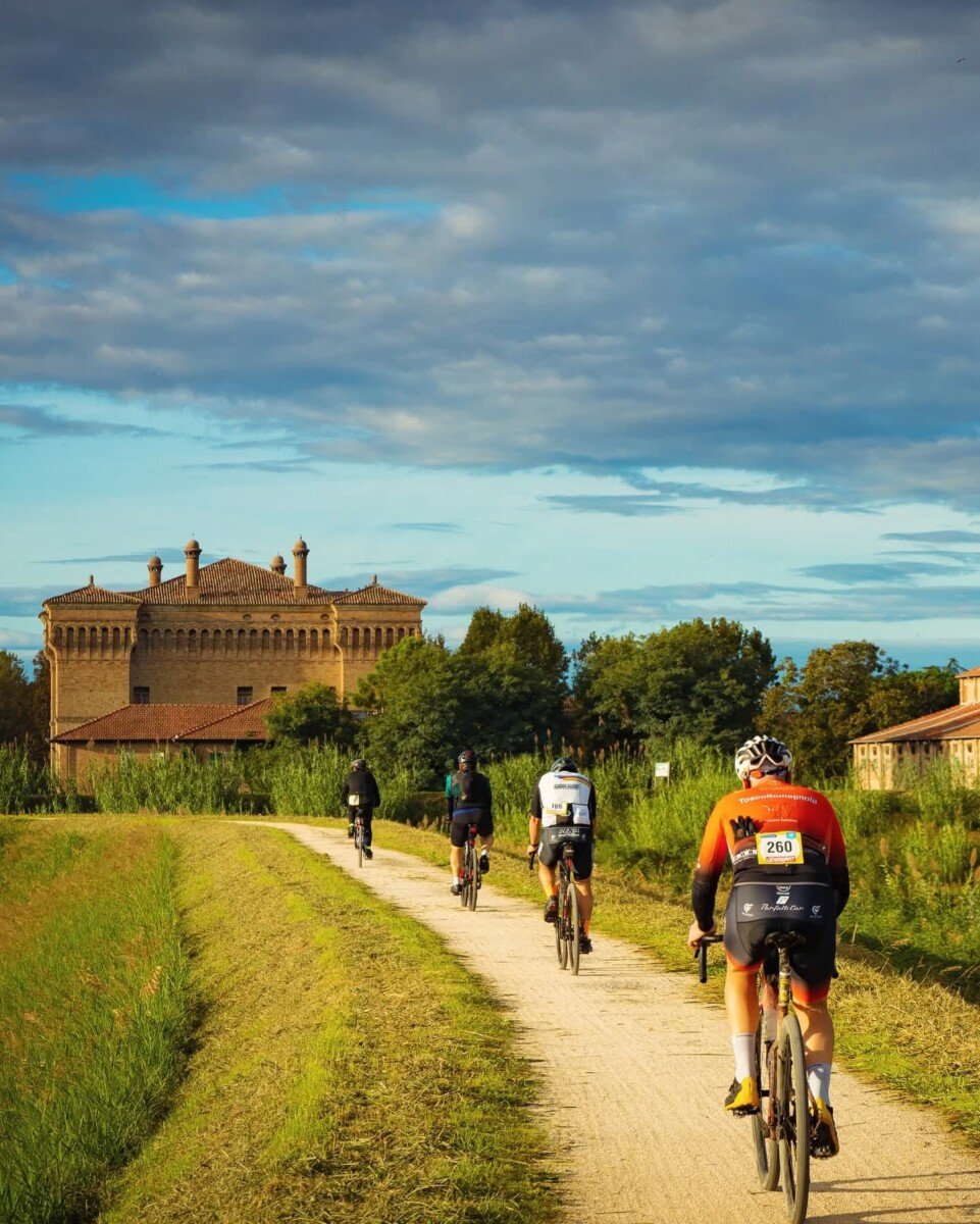 Starde Bianche
