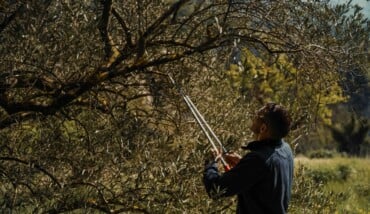 Terra Di Brisighella 3 (1)