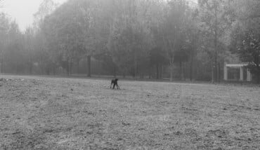 Io. Lola e il paesaggio