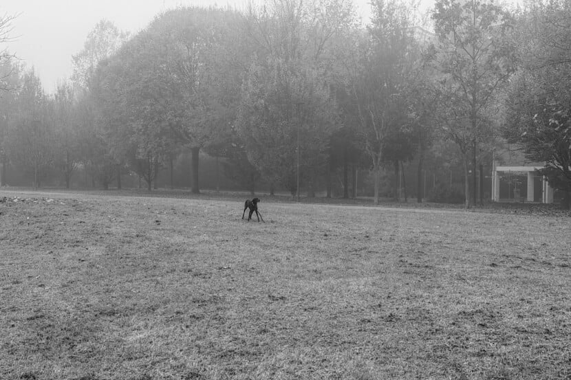 Io. Lola e il paesaggio