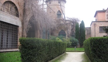 25 11 17 Felice Nittolo Rampicante D'amore 2012