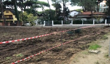 583185591 1141350554816047 3536762662843405087 N 