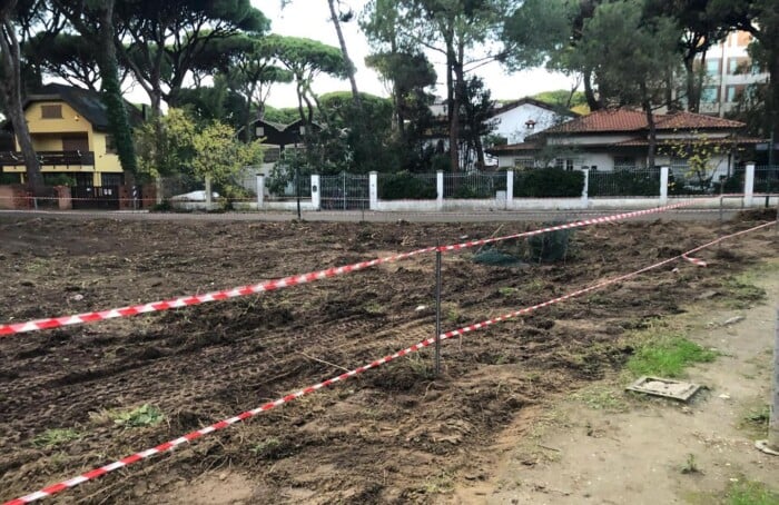 583185591 1141350554816047 3536762662843405087 N