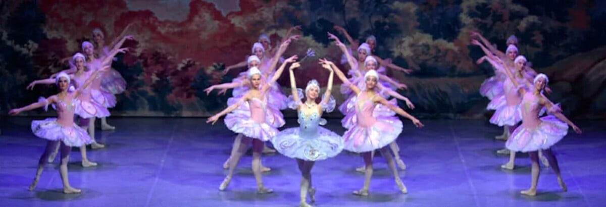 Immagine 2025 11 14 103851