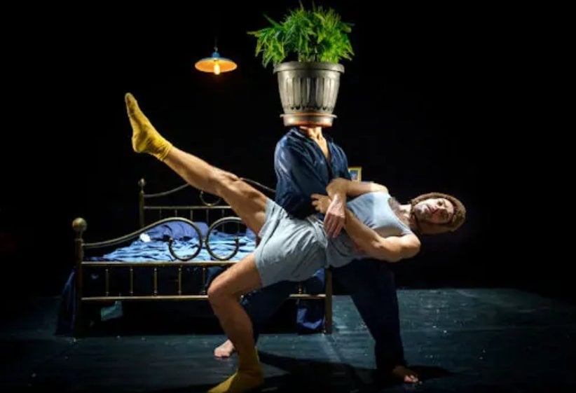 Immagine 2025 11 14 105519