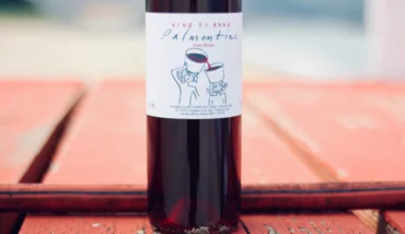 Vino Di Anna Palmentino Rosso 
