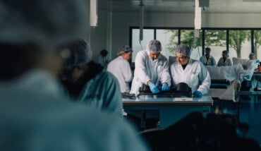 DSC05977 Modifica 01 