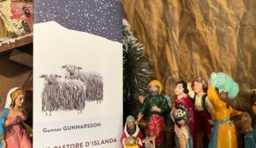 Foto Pastore D'Islanda