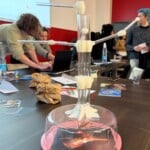 WhatsApp Image 2025 12 07 At 10.42.17