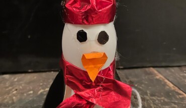 Pinguini 21 Dicembre