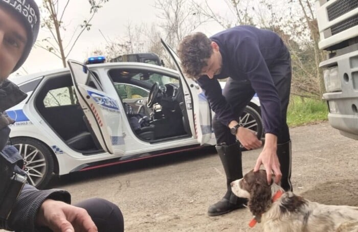 Polizia Locale Cane