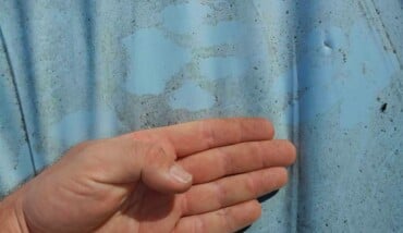 Thumbnail Impronta Lupo 