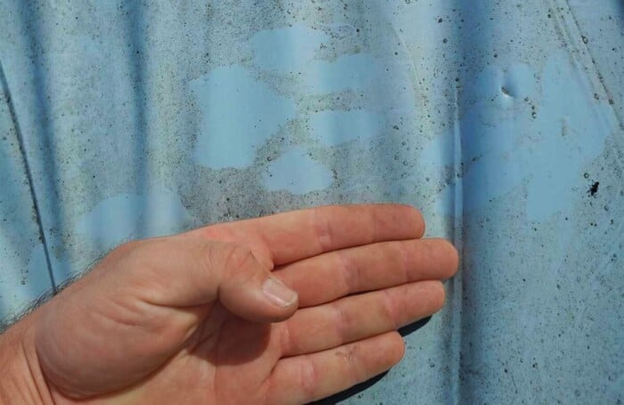 Thumbnail Impronta Lupo