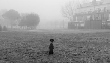 Io, Lola e il paesaggio