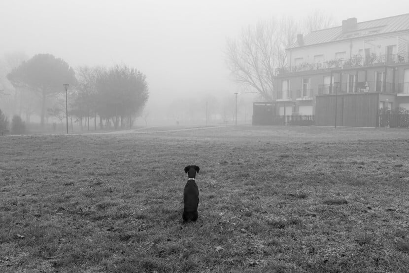 Io, Lola e il paesaggio