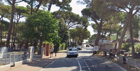 617651009 1296423162293776 2674700888408354252 N