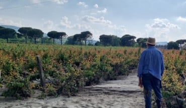 Ordine Agronomi Ravenna Alluvione 