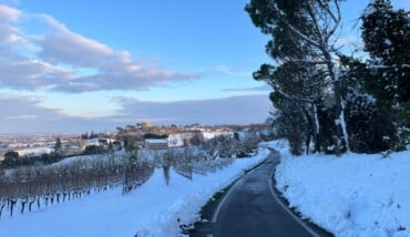 WhatsApp Image 2026 01 07 At 16.17.10 