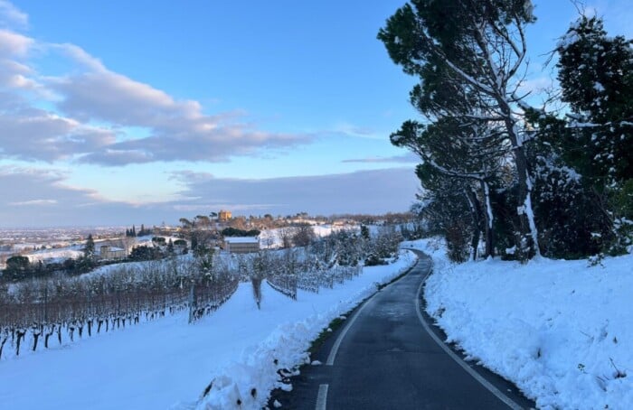 WhatsApp Image 2026 01 07 At 16.17.10