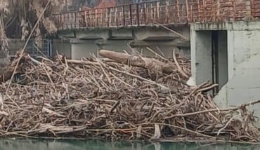 WhatsApp Image 2026 01 24 At 03.00.52 